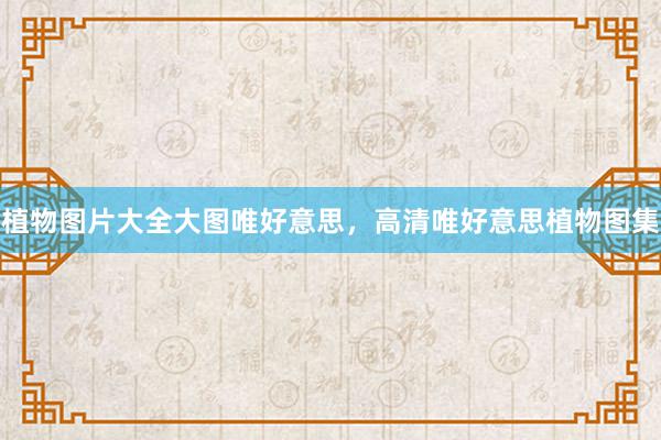 植物图片大全大图唯好意思，高清唯好意思植物图集