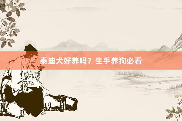 泰迪犬好养吗？生手养狗必看